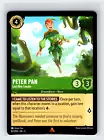 Peter Pan - Lost Boy Leader