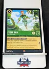 Peter Pan - Lost Boy Leader