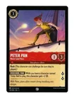 Peter Pan - Never Land Hero
