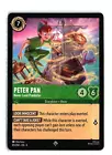 Peter Pan - Never Land Prankster