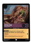 Peter Pan - Shadow Catcher