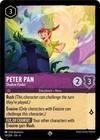 Peter Pan - Shadow Catcher