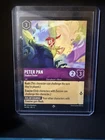 Peter Pan - Shadow Finder