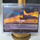 Pride Lands - Pride Rock