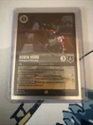 Robin Hood - Champion of Sherwood