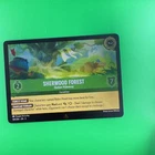 Sherwood Forest - Outlaw Hideaway