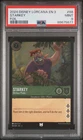 Starkey - Devious Pirate