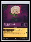 The White Rose - Jewel of the Garden