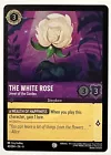 The White Rose - Jewel of the Garden