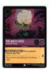 The White Rose - Jewel of the Garden