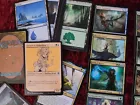 Simic Guildgate