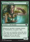 Essence Warden