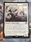 Silverblade Paladin