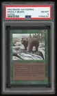 Grizzly Bears