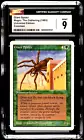 Giant Spider #