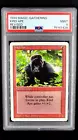 Kird Ape