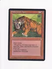 Sabretooth Tiger