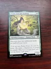 Azusa, Lost but Seeking #