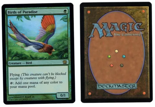 Birds of Paradise