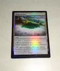 Blighted Fen