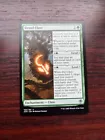 Druid Class