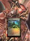 Jungle Hollow