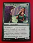 Immaculate Magistrate