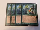 Erhnam Djinn