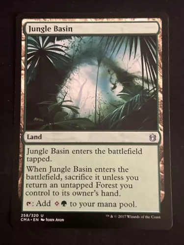 Jungle Basin #