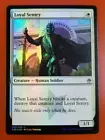 Loyal Sentry