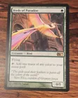 Birds of Paradise