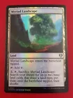 Myriad Landscape
