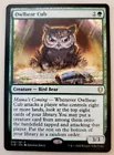 Owlbear Cub #