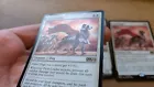 Pack Leader