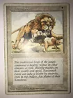 Savannah Lions