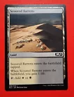 Scoured Barrens