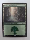Snow-Covered Forest