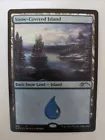 Snow-Covered Swamp