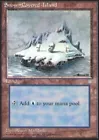 Snow-Covered Island