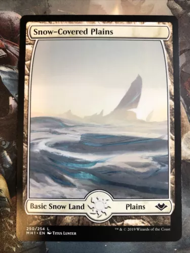 Snow-Covered Plains
