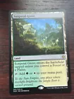 Sunpetal Grove