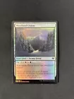 Woodland Stream