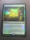 Worldly Tutor