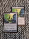Thorn Elemental