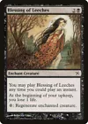 Blessing of Leeches