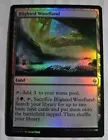 Blighted Woodland
