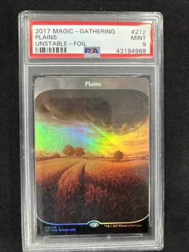 Plains