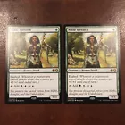 Noble Hierarch