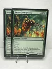 Sweet-Gum Recluse