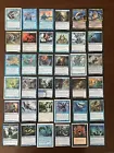 Merfolk Wayfinder #